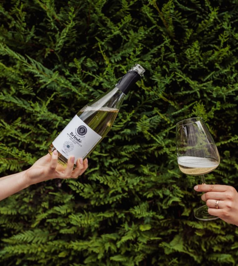 Brindisi all'aperto con vino bianco frizzante, sfondo di foglie verdi.